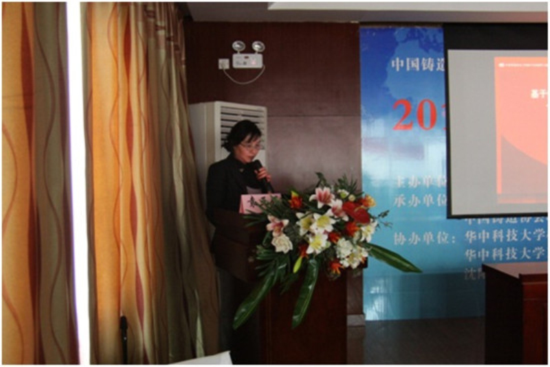 袁亚娟副秘书长作报告