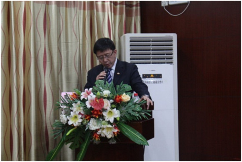 支晓恒副会长作总结报告